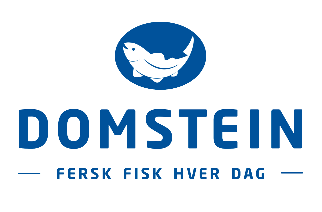 DOMSTEIN LOGO